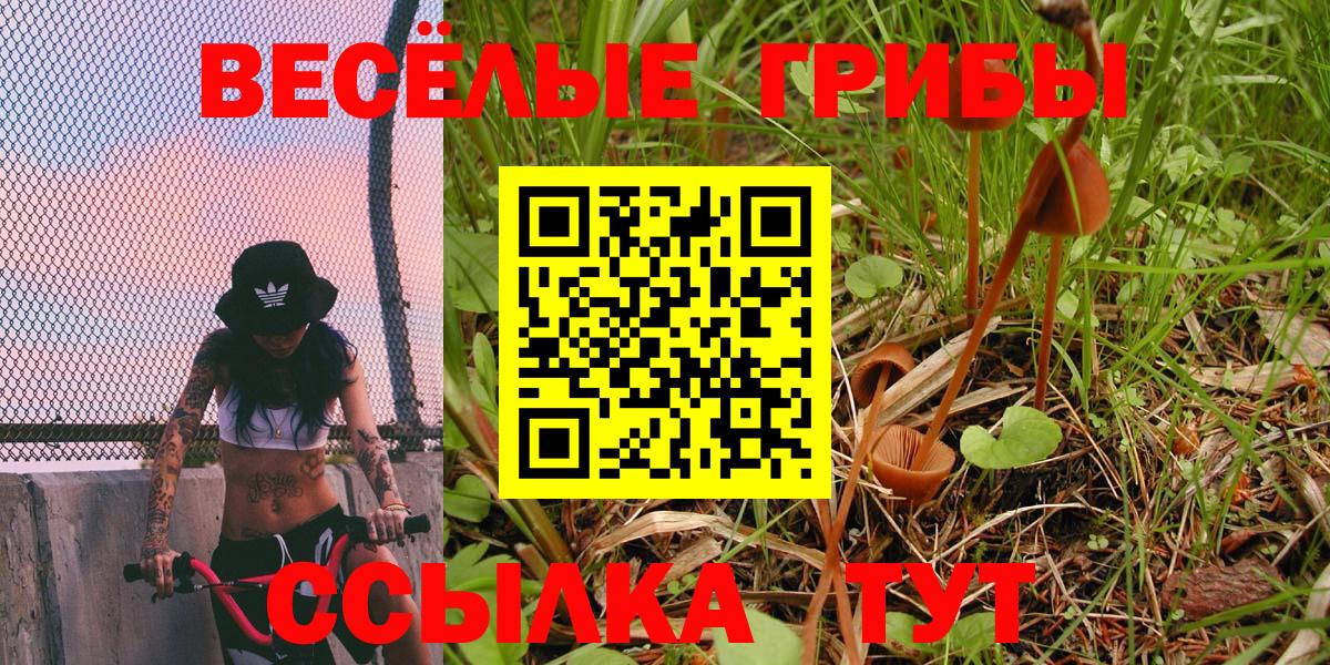 Галлюциногенные грибы прущие грибы Мурино