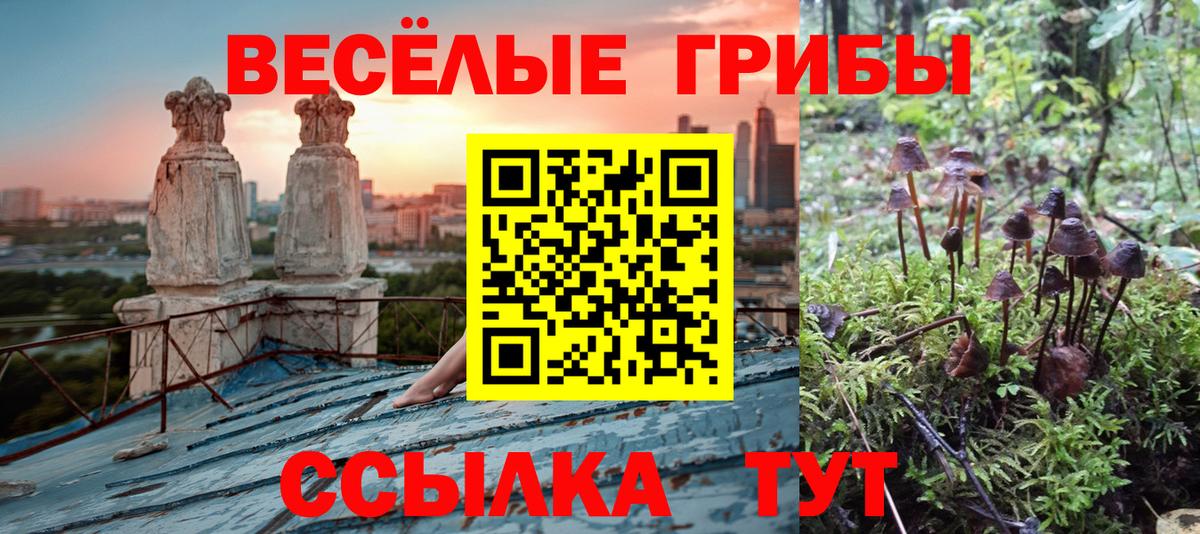 МЕФ Мурино