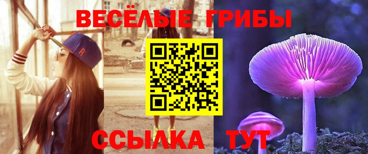 Мурино  Гашиш  Марихуана  A PVP СОЛЬ   МДМА  Вход с VPN  Купить наркотик  Меф МЯУ МЯУ  